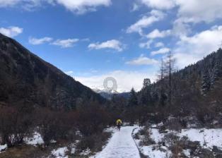 吉鹿力问答社区,疯狂动物园2023mod插件下载专业问答平台